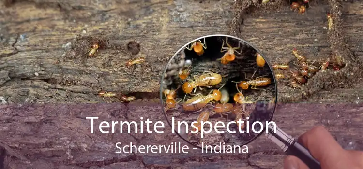 Termite Inspection Schererville - Indiana