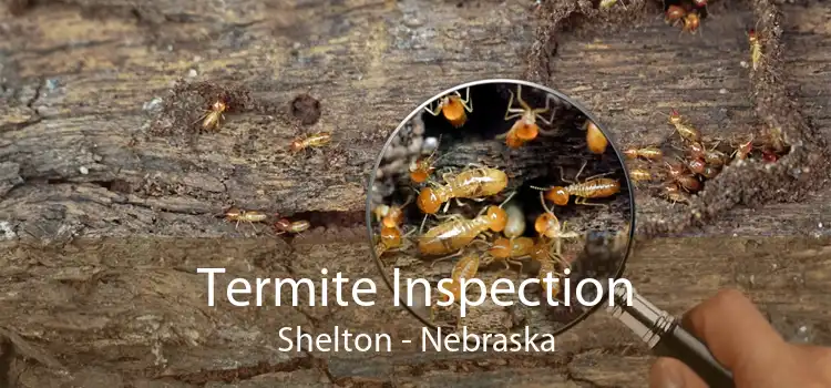 Termite Inspection Shelton - Nebraska