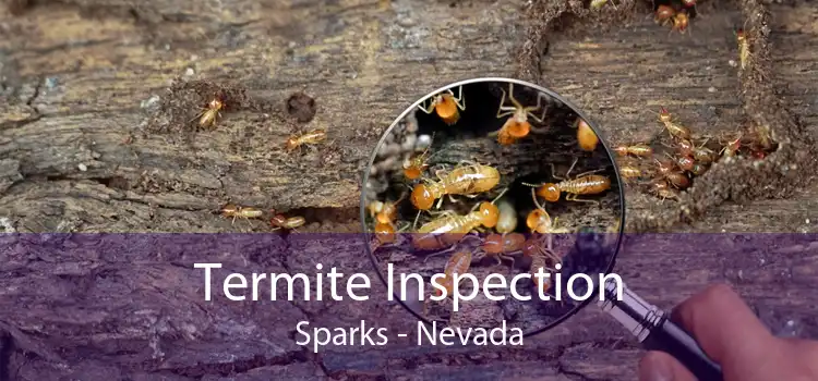 Termite Inspection Sparks - Nevada