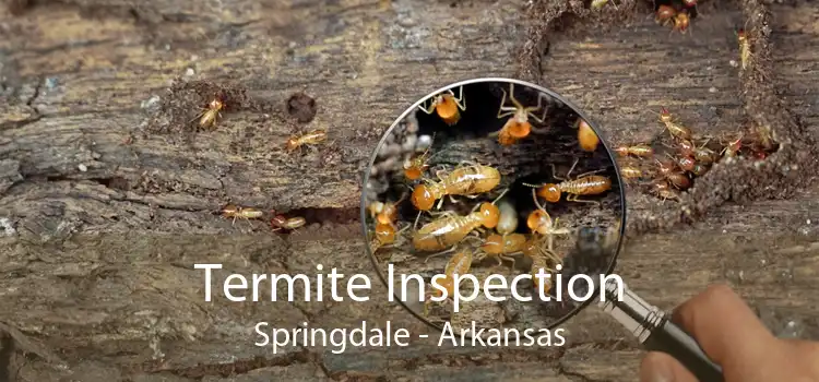 Termite Inspection Springdale - Arkansas