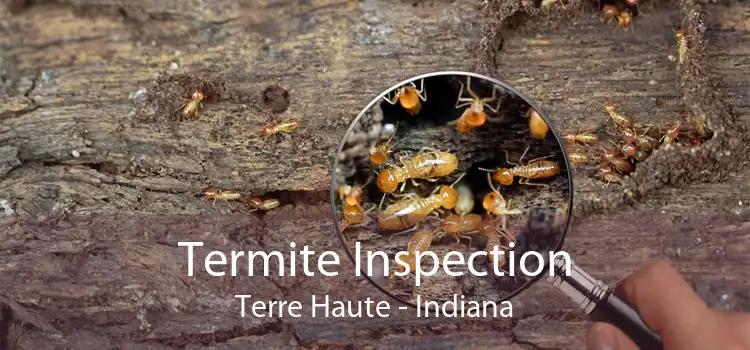 Termite Inspection Terre Haute - Indiana