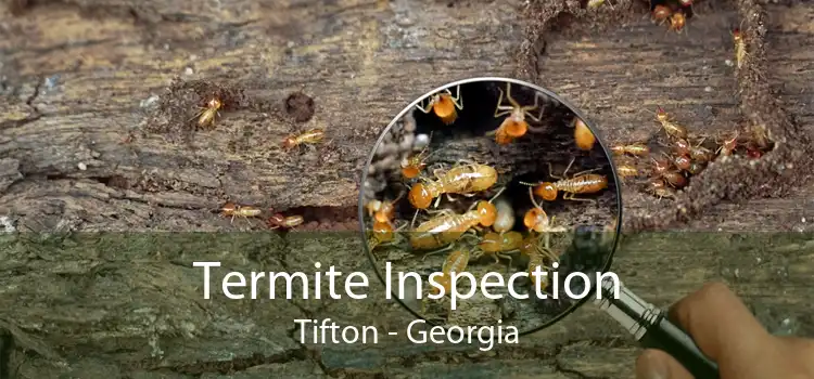 Termite Inspection Tifton - Georgia