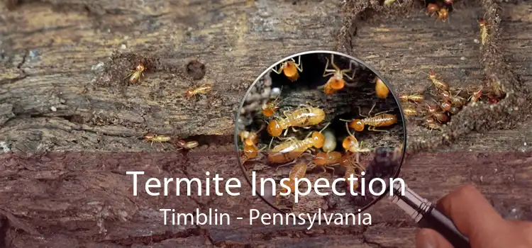 Termite Inspection Timblin - Pennsylvania