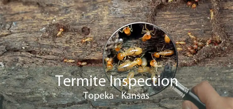 Termite Inspection Topeka - Kansas