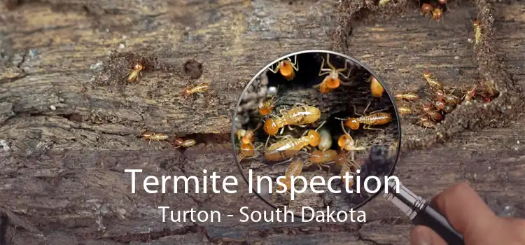 Termite Inspection Turton - South Dakota