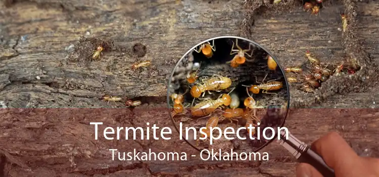 Termite Inspection Tuskahoma - Oklahoma