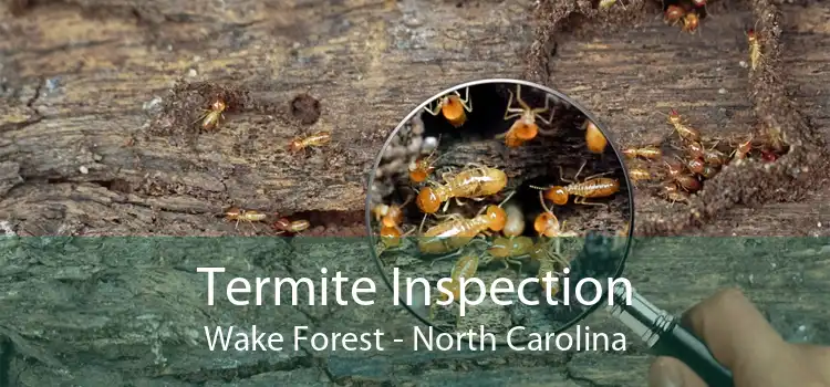 Termite Inspection Wake Forest - North Carolina