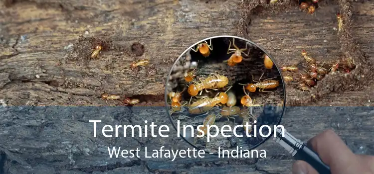 Termite Inspection West Lafayette - Indiana