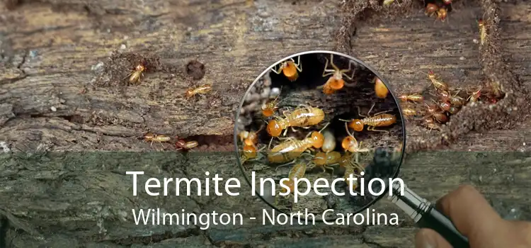 Termite Inspection Wilmington - North Carolina
