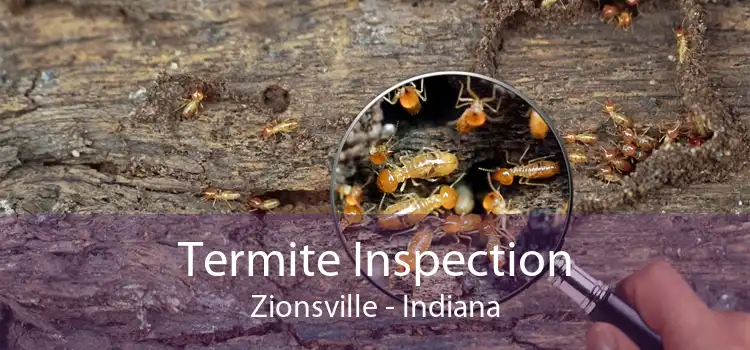 Termite Inspection Zionsville - Indiana