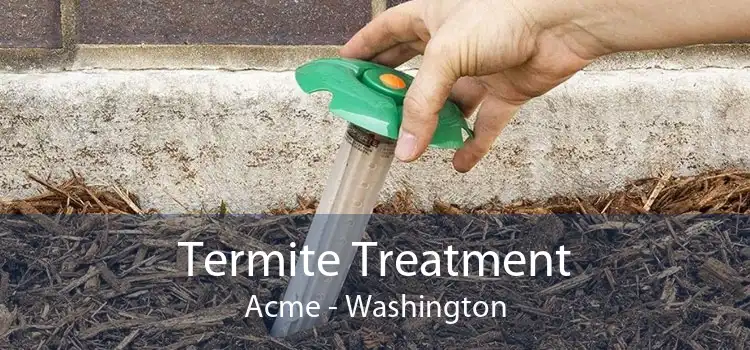 Termite Treatment Acme - Washington