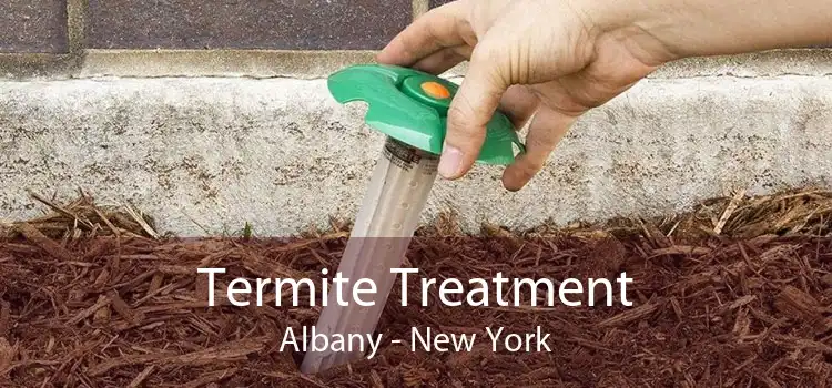 Termite Treatment Albany - New York