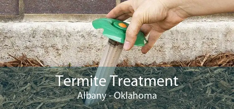 Termite Treatment Albany - Oklahoma