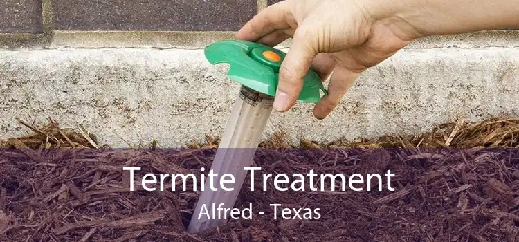 Termite Treatment Alfred - Texas