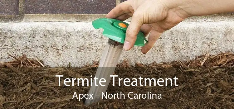 Termite Treatment Apex - North Carolina