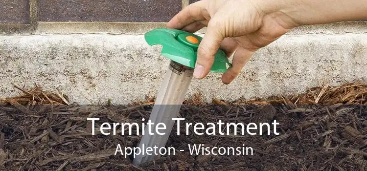 Termite Treatment Appleton - Wisconsin