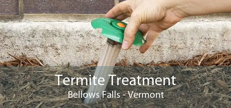 Termite Treatment Bellows Falls - Vermont