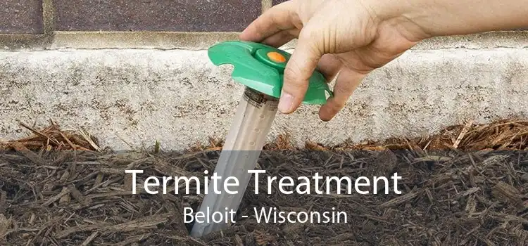 Termite Treatment Beloit - Wisconsin