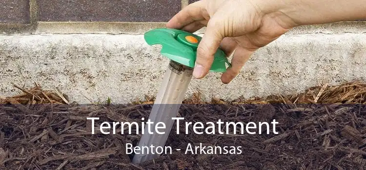 Termite Treatment Benton - Arkansas