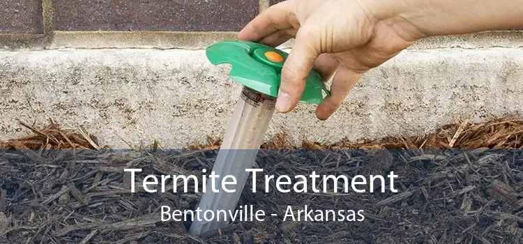 Termite Treatment Bentonville - Arkansas