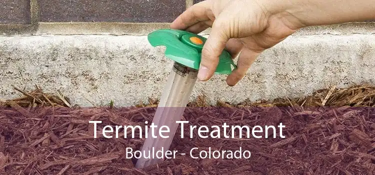 Termite Treatment Boulder - Colorado