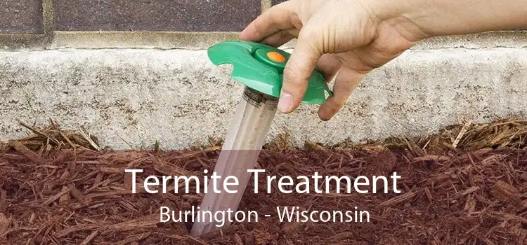 Termite Treatment Burlington - Wisconsin