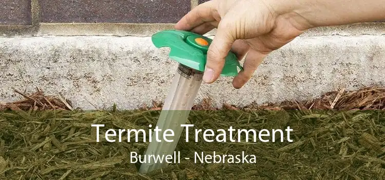 Termite Treatment Burwell - Nebraska