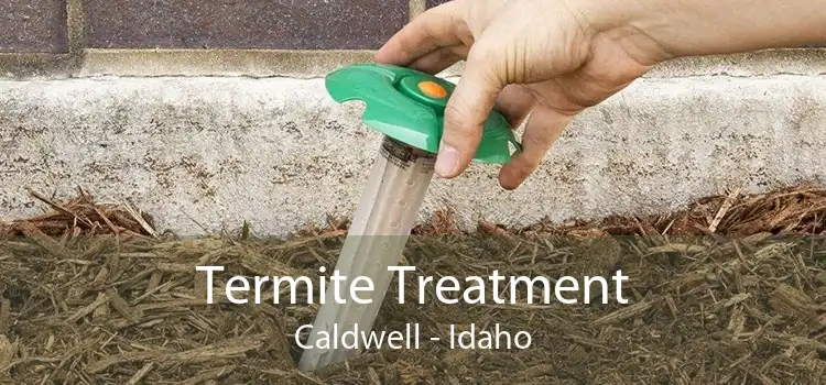 Termite Treatment Caldwell - Idaho