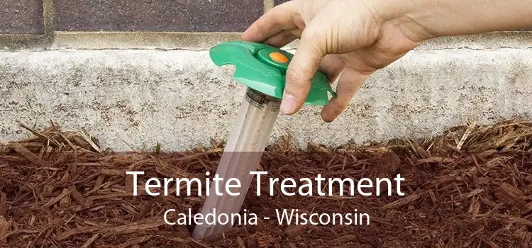 Termite Treatment Caledonia - Wisconsin