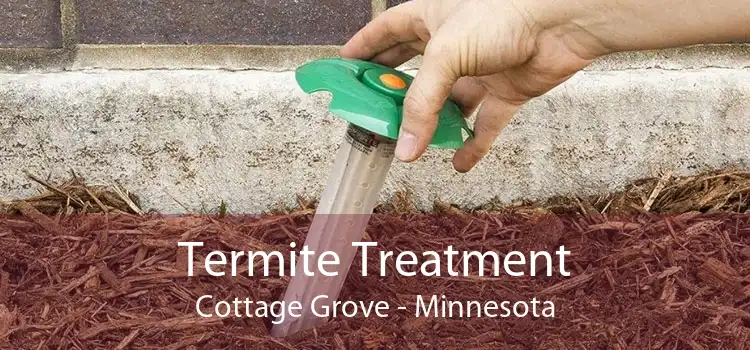 Termite Treatment Cottage Grove - Minnesota