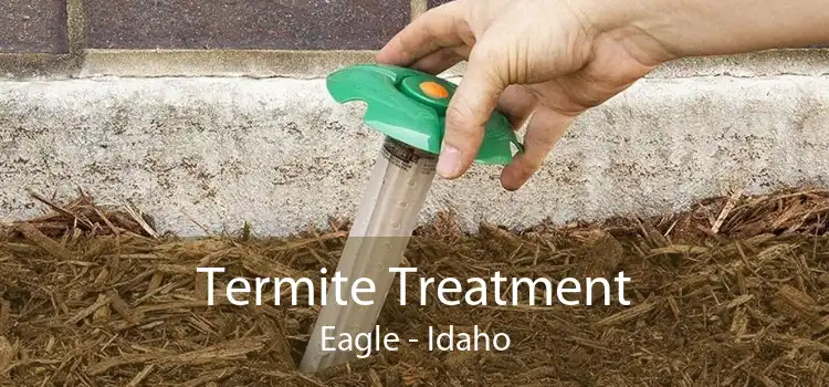Termite Treatment Eagle - Idaho