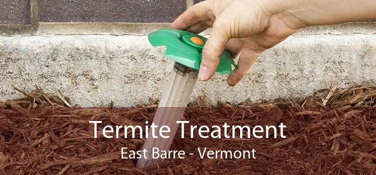 Termite Treatment East Barre - Vermont
