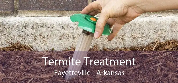 Termite Treatment Fayetteville - Arkansas