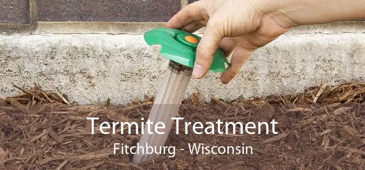 Termite Treatment Fitchburg - Wisconsin