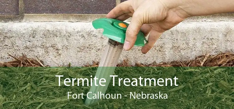 Termite Treatment Fort Calhoun - Nebraska
