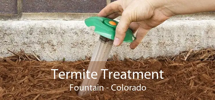 Termite Treatment Fountain - Colorado