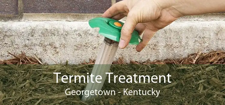 Termite Treatment Georgetown - Kentucky