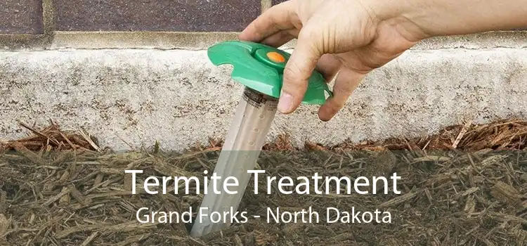 Termite Treatment Grand Forks - North Dakota