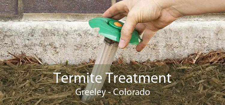 Termite Treatment Greeley - Colorado