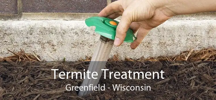 Termite Treatment Greenfield - Wisconsin