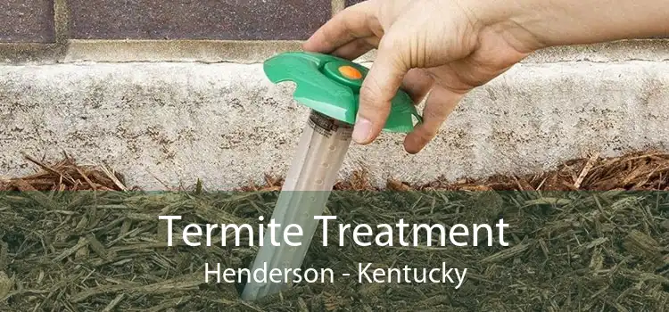 Termite Treatment Henderson - Kentucky