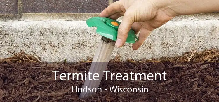 Termite Treatment Hudson - Wisconsin