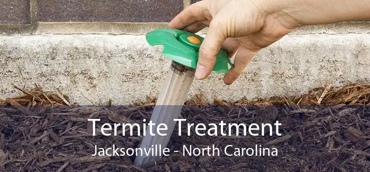 Termite Treatment Jacksonville - North Carolina