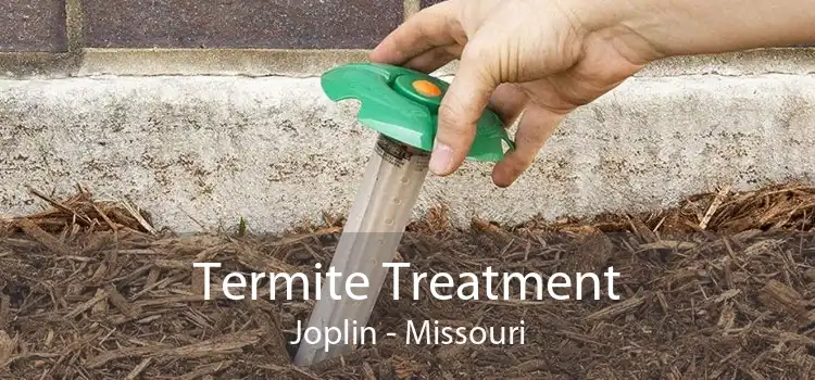Termite Treatment Joplin - Missouri