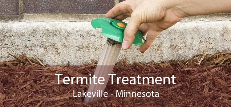 Termite Treatment Lakeville - Minnesota