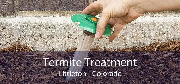Termite Treatment Littleton - Colorado