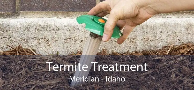 Termite Treatment Meridian - Idaho