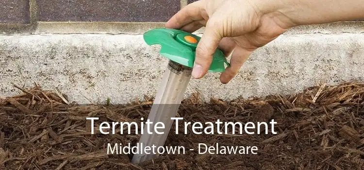 Termite Treatment Middletown - Delaware