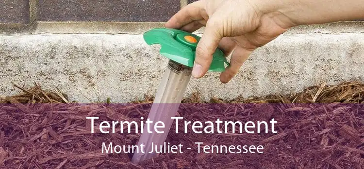 Termite Treatment Mount Juliet - Tennessee