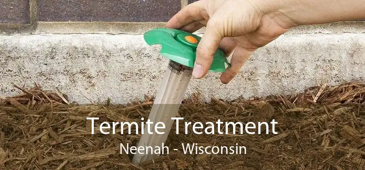 Termite Treatment Neenah - Wisconsin